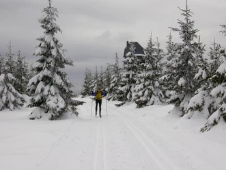 Langlauf in Altenau