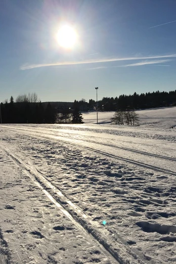 Loipe bei Buntenbock