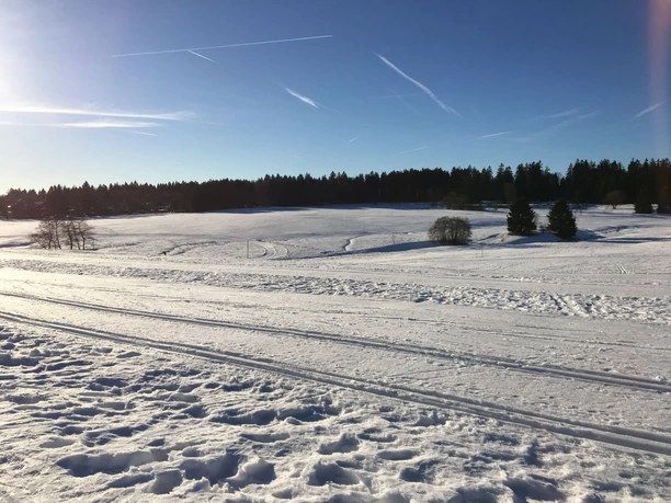 Loipe bei Buntenbock