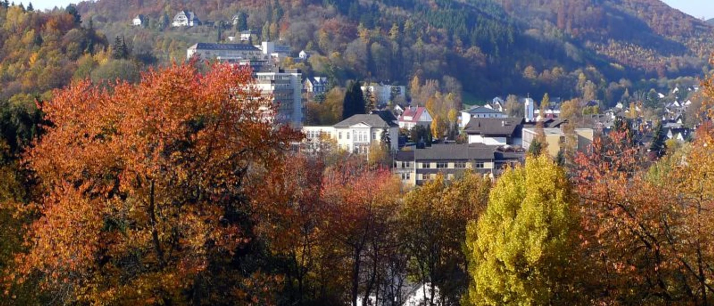 Stadtansicht - Blick vom Kurpark Bad Laasphe