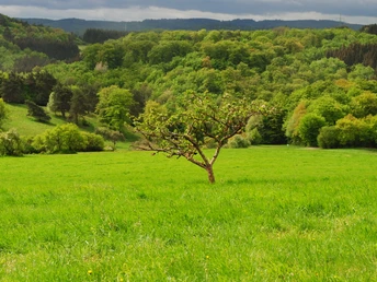 Naturschutzgebiet Sauernberg