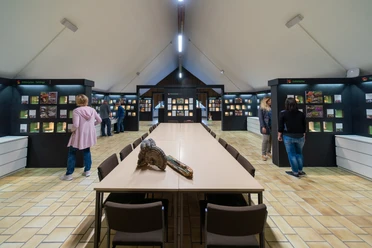 Pilzkunde Museum Besuch im Pilzmuseum