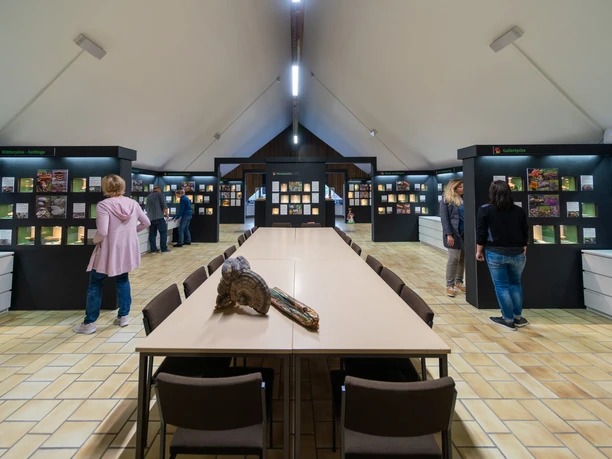 Pilzkunde Museum Besuch im Pilzmuseum