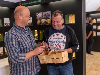 Pilzkunde Museum Pilzberatung bei Volker Walther