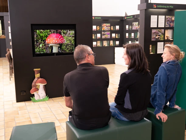 Pilzkunde Museum Besuch im Pilzmuseum