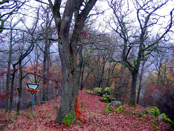 Naturdenkmal Teufelskanzel Bad Laasphe