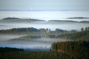 Foto: Jörg Willems
