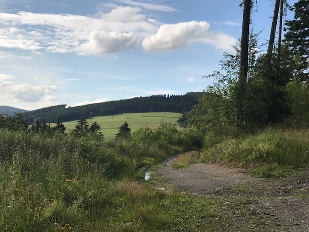 Panoramablick