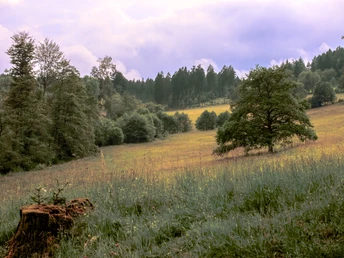 Hof Breitenbach Abenstimmung