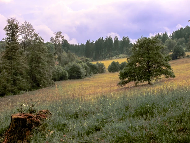 Hof Breitenbach Abenstimmung