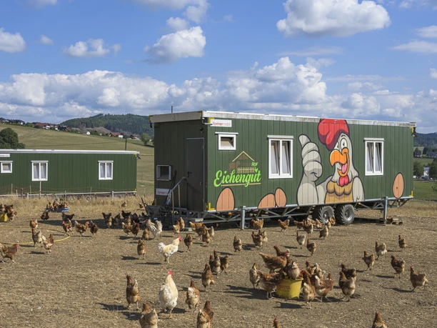 Hof Eichengut, Bad Laasphe-Weide Hof Eichengut