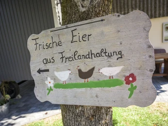 Hof Eichengut, Bad Laasphe-Weide Hof Eichengut