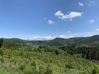 Ausblick ins Puderbachtal