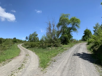 Wegegabelung mit Herz