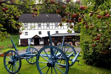 Wassermühle Nenkersdorf