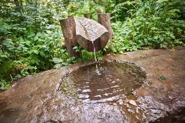 Das Wasser der Siegquelle in Netphen