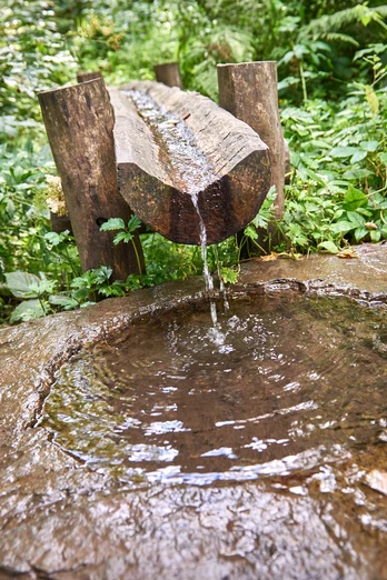 Das Wasser der Siegquelle in Netphen