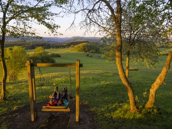 Waldschaukel auf dem Kornberg
