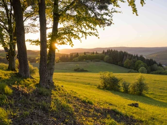 Aussicht vom Kornberg
