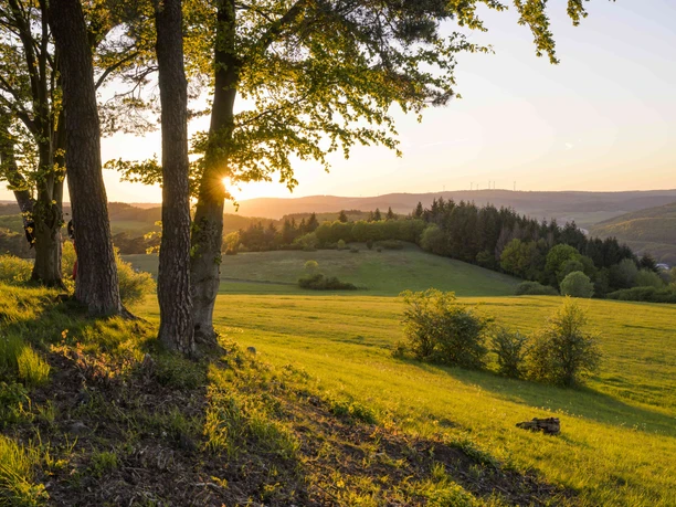 Aussicht vom Kornberg