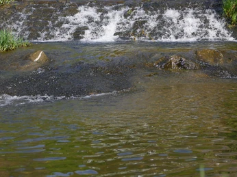 Lahnwehr Bad Laasphe