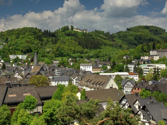 Stadtansicht vom Ehrenmal aus dem Kurpark Bad Laasphe