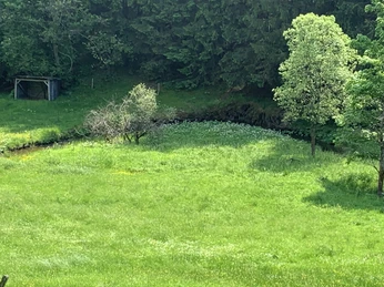 Die junge Lahn mäandert durch Welschengeheu