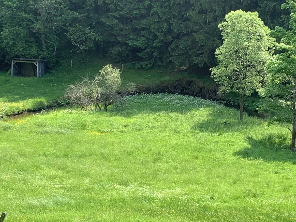 Die junge Lahn mäandert durch Welschengeheu