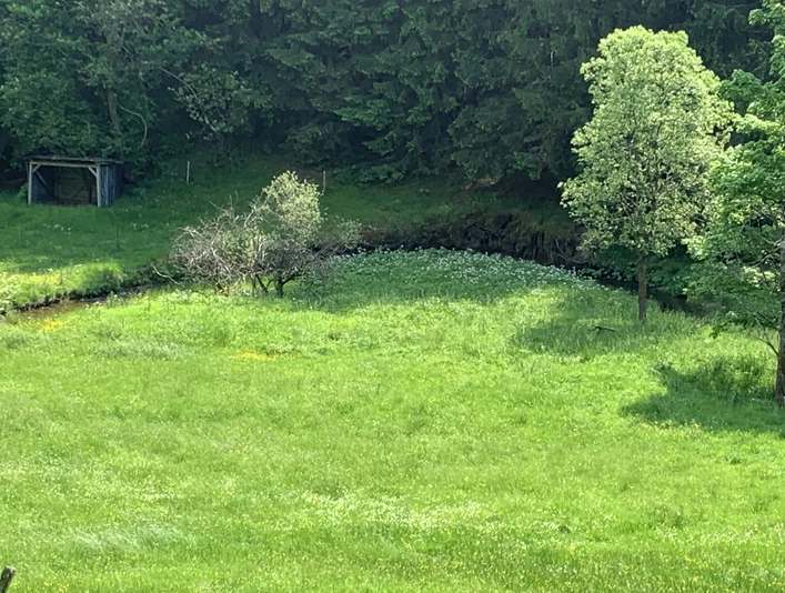 Die junge Lahn mäandert durch Welschengeheu