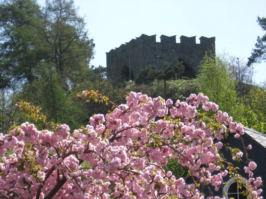 Ehrenmal "Steinchen" Bad Laasphe