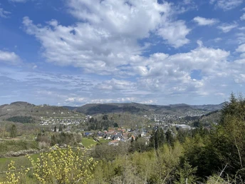 Blick vom L1 Gennernbachtal in Richtung Bad Laasphe
