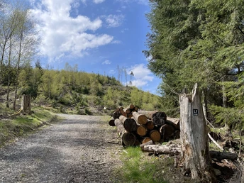 Wegemarkierung an Kreuzung L1 Bad Laasphe