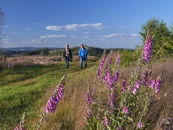 Weg Aussichtspunkt Hainrot