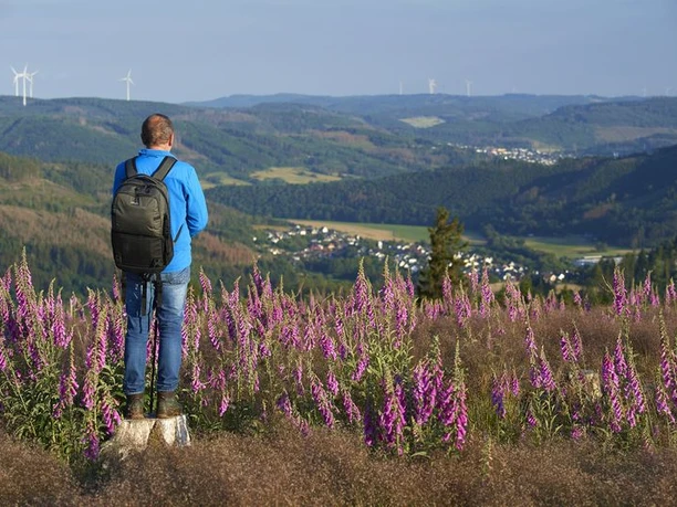 Panoramablick Hainrot