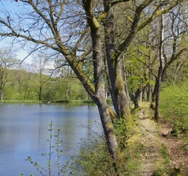 Berghäuser Weiher