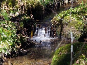 Seitental des Berghäuser Baches