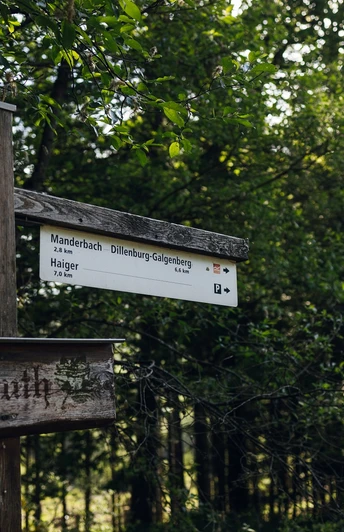 Rothaarsteig-Wegweiser "Auf der Struth"