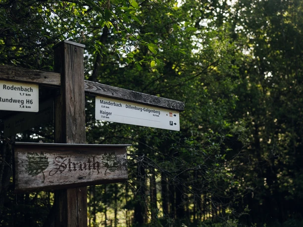 Rothaarsteig-Wegweiser "Auf der Struth"