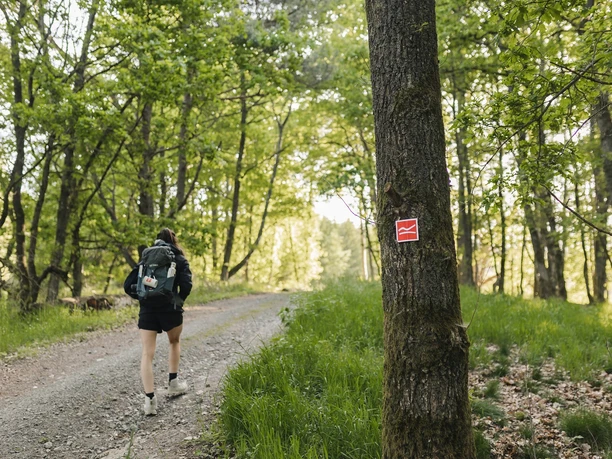 Wanderin auf einem Schotterweg auf dem Rothaarsteig