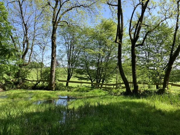 QuellenAcht - Lahnhof Ursprung der Lahnquelle