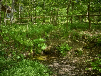 Ederquelle Ederquelle Nenkersdorf, Netphen