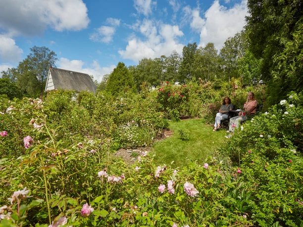 Der Rosengarten bietet neben vielen Sitzgelegenheiten auch schattige Rückzugsorte.
