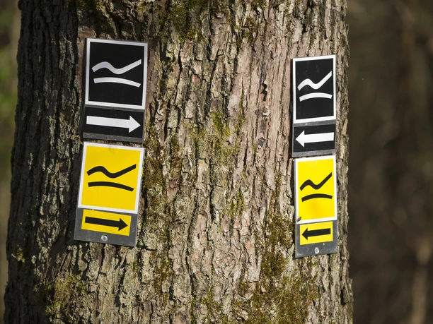 Wegmarkierung am Rothaarsteig