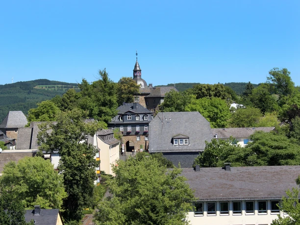 Oberes Schloss vom Turm der Nikolaikirche (Krönchen) aus gesehen