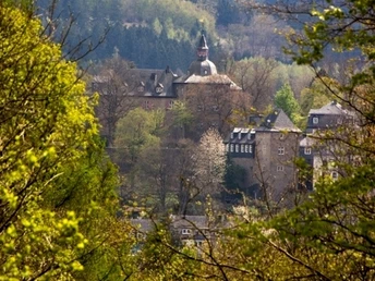 Blick zum Oberen Schloss aus Richtung Tiergarten