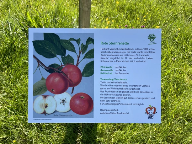 Die Baum-Tafeln geben Auskunft über die Baumsorte, deren Herkunft, Geschmack und Verwendung. Für alle Bäume gibt es Baumpatenschaften.