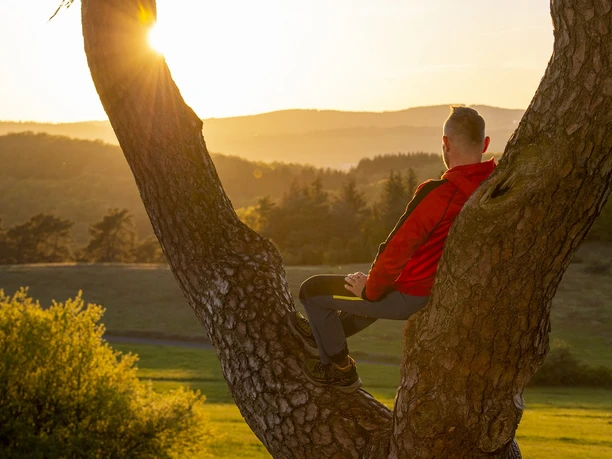 Wanderer sitzt in der Astkabel und blickt in die untergehende Sonne