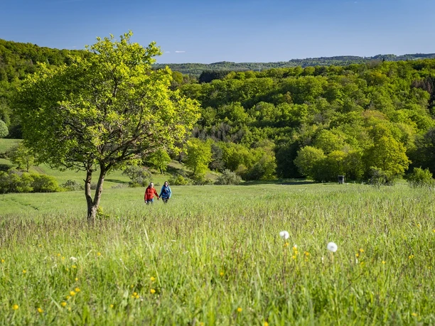 Zwei Wanderer auf der grünen Wiese