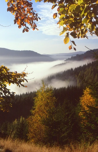 Lahntal bei Feudingen