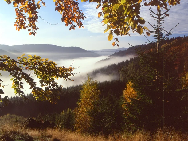 Lahntal bei Feudingen